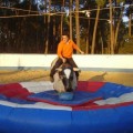 Carregando...